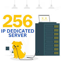 256 IPs server